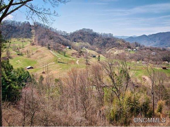 244 Falling Spring Road Waynesville, NC 28786 - Photo 3 of 16