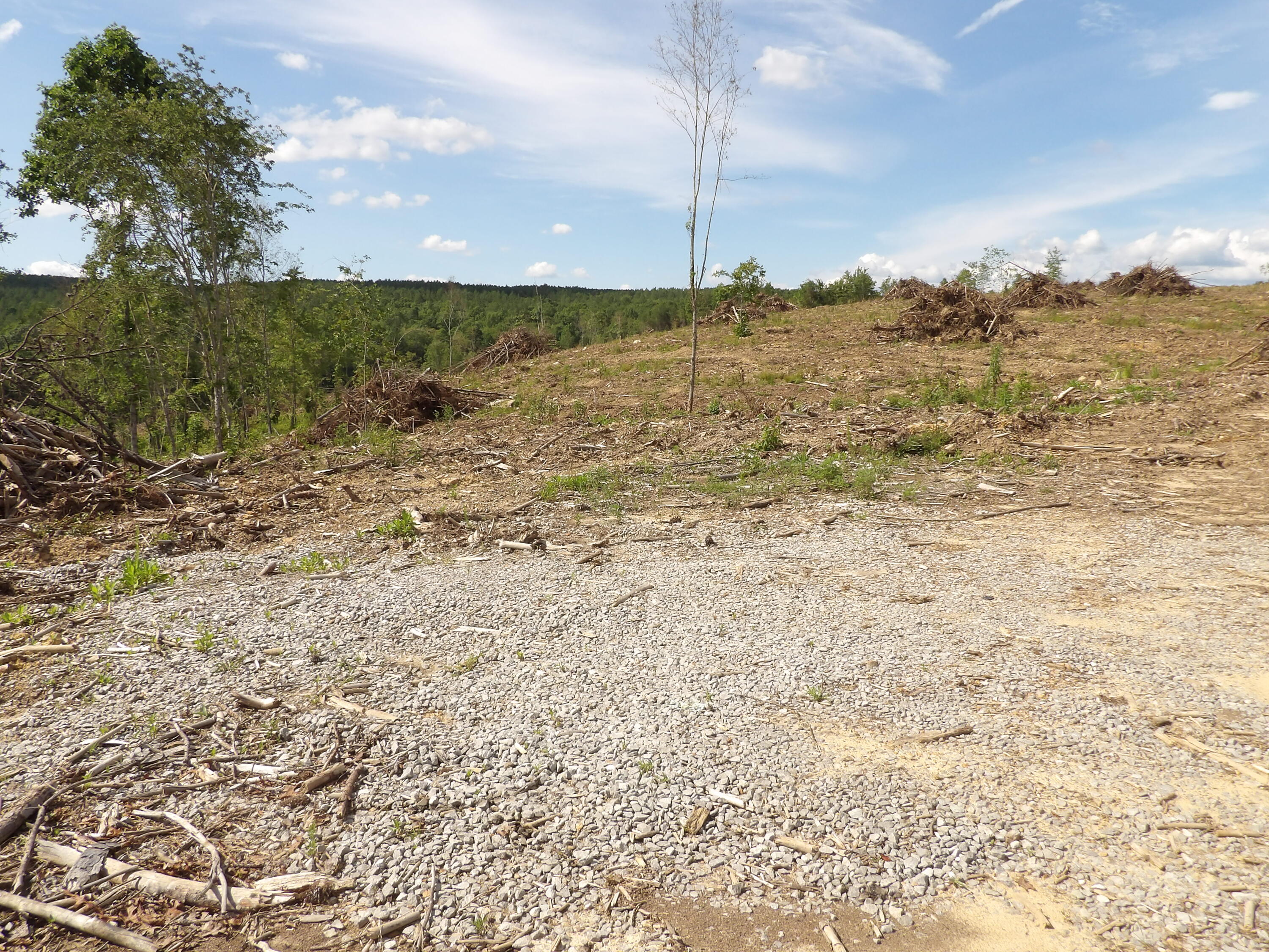 Lot12 Summer City Road Evensville, TN 37332 - Photo 5 of 20 100_1666