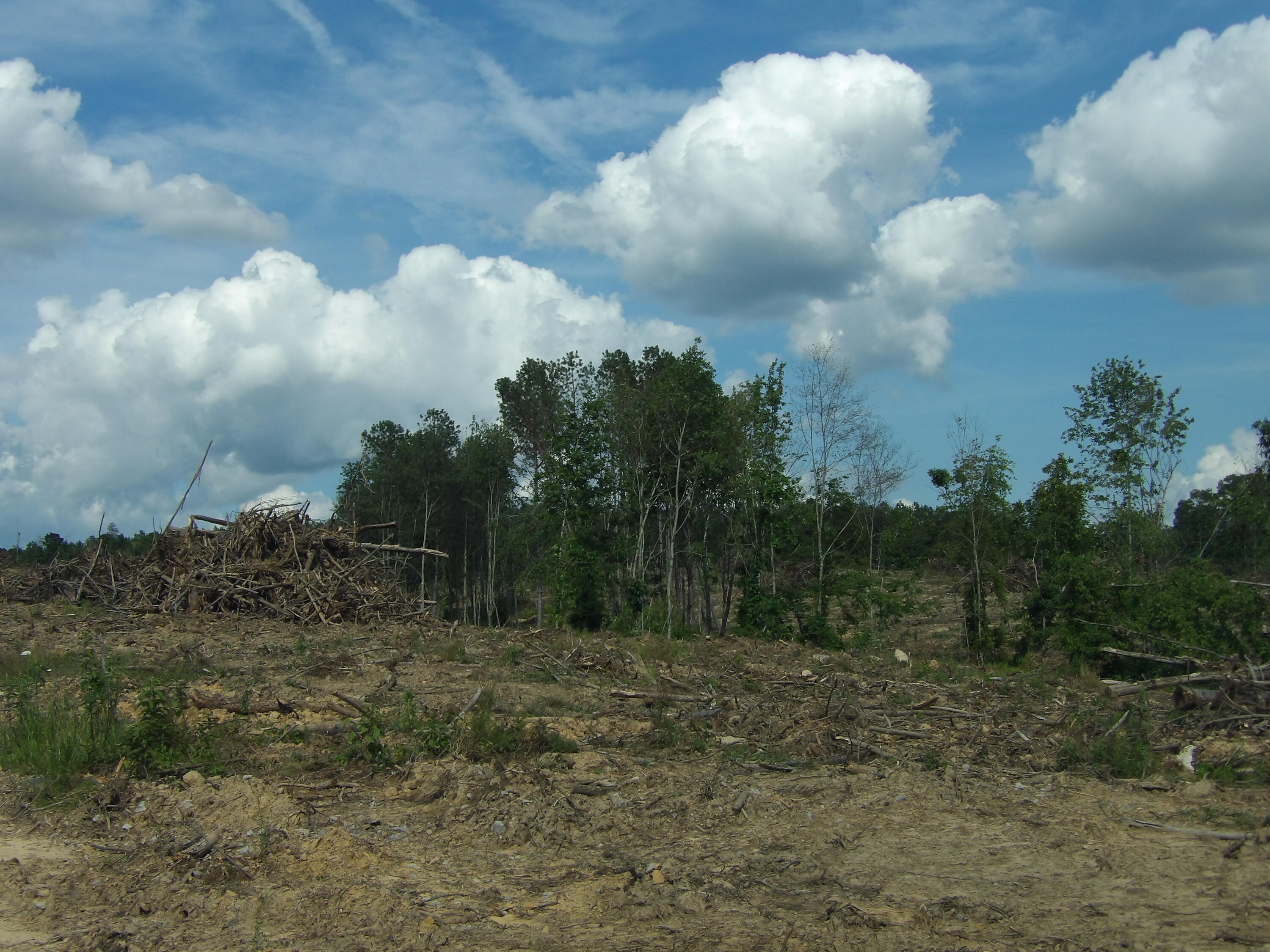 Lot12 Summer City Road Evensville, TN 37332 - Photo 9 of 20 100_1670