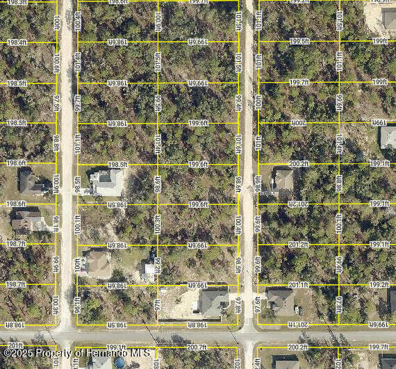 0 English Parrot Road Brooksville, FL 34614 - Photo 1 of 4