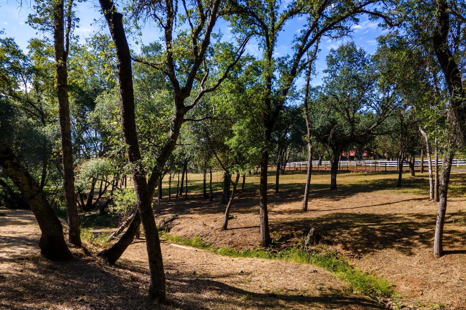 3300 Ponderosa Road Shingle Springs, CA 95682 - Photo 41 of 44
