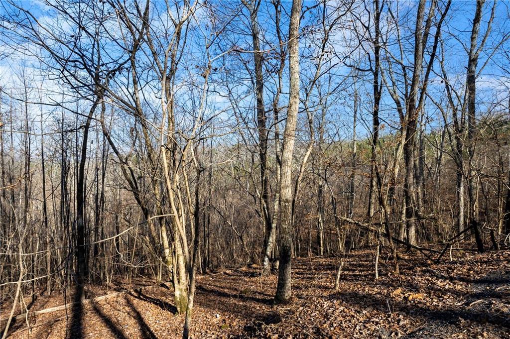 665 Tibbitts Road Dallas, GA 30132 - Photo 12 of 39