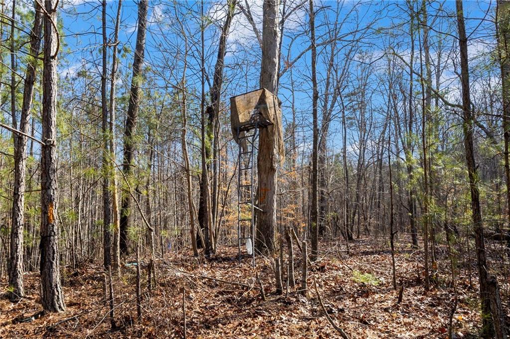 665 Tibbitts Road Dallas, GA 30132 - Photo 13 of 39