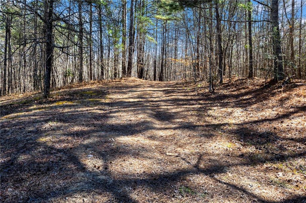 665 Tibbitts Road Dallas, GA 30132 - Photo 14 of 39