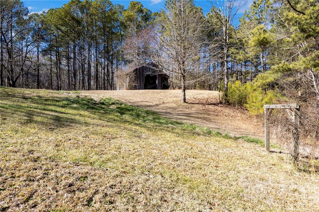 665 Tibbitts Road Dallas, GA 30132 - Photo 15 of 39