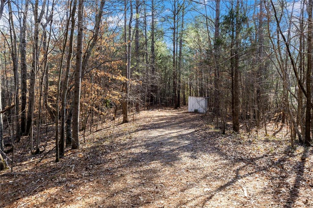 665 Tibbitts Road Dallas, GA 30132 - Photo 16 of 39