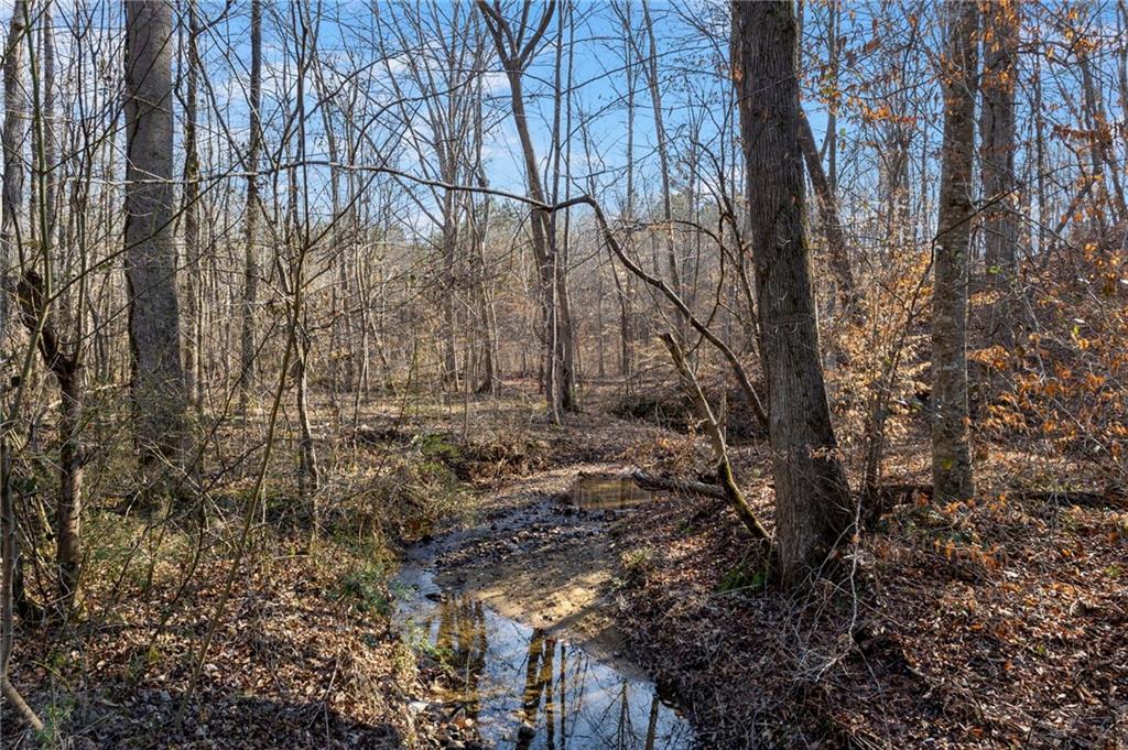 665 Tibbitts Road Dallas, GA 30132 - Photo 17 of 39