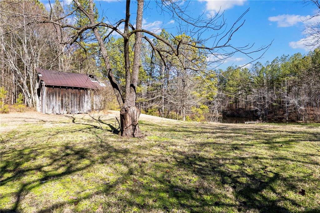 665 Tibbitts Road Dallas, GA 30132 - Photo 27 of 39