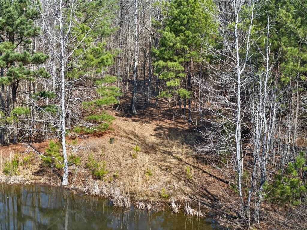 665 Tibbitts Road Dallas, GA 30132 - Photo 28 of 39