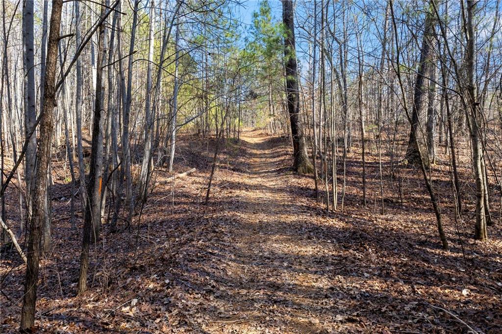 665 Tibbitts Road Dallas, GA 30132 - Photo 30 of 39