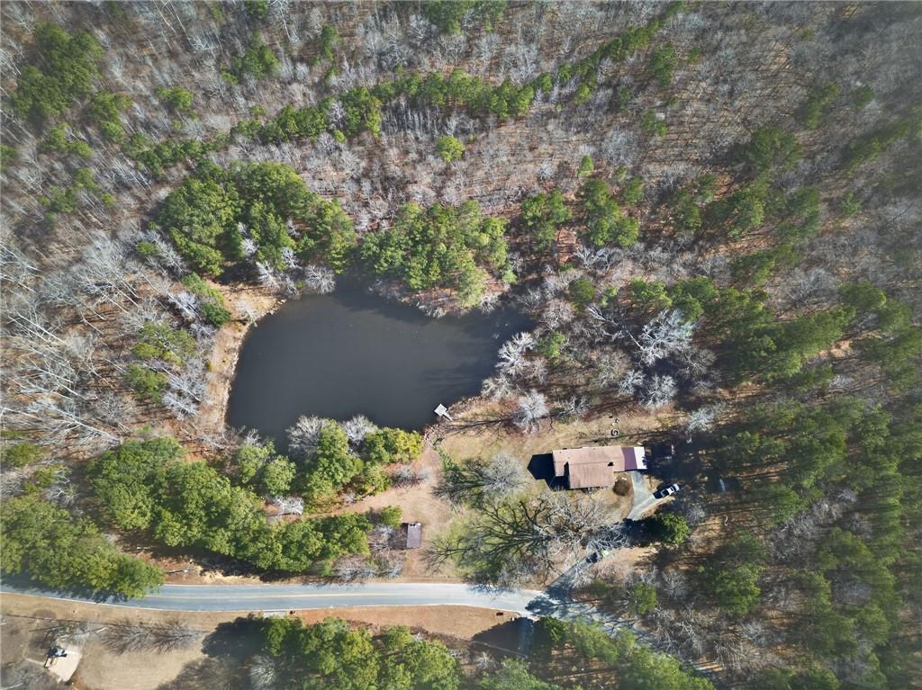 665 Tibbitts Road Dallas, GA 30132 - Photo 3 of 39