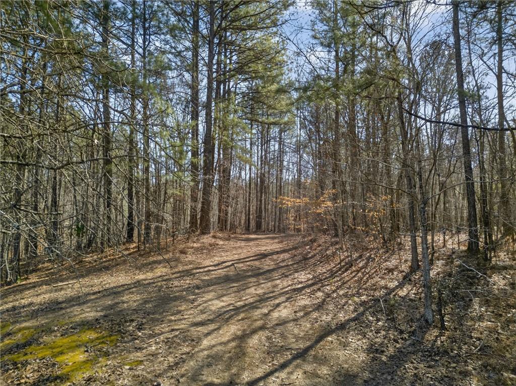 665 Tibbitts Road Dallas, GA 30132 - Photo 31 of 39