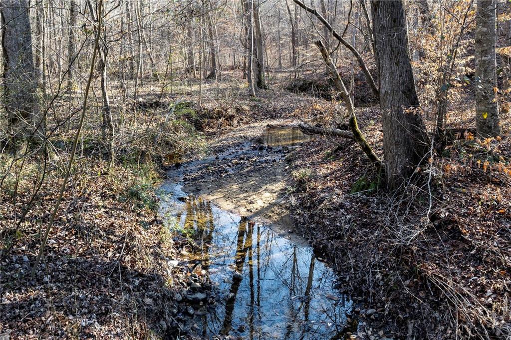 665 Tibbitts Road Dallas, GA 30132 - Photo 32 of 39