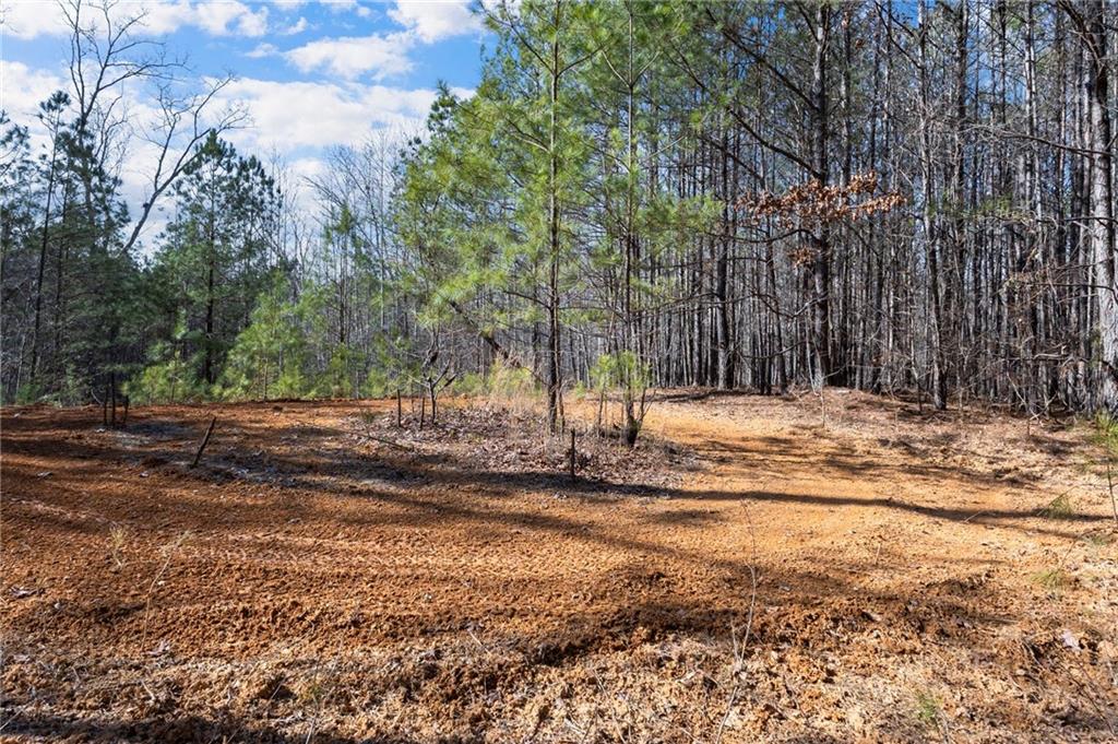 665 Tibbitts Road Dallas, GA 30132 - Photo 33 of 39