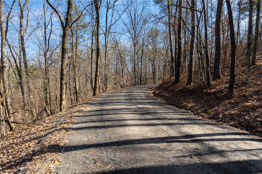 665 Tibbitts Road Dallas, GA 30132 - Photo 34 of 39