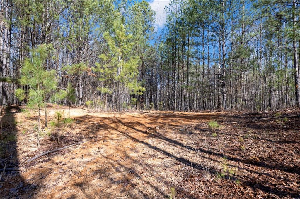 665 Tibbitts Road Dallas, GA 30132 - Photo 35 of 39