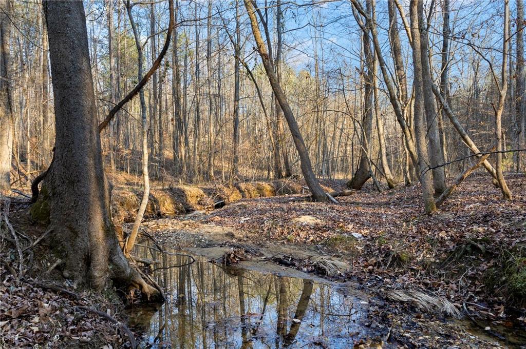 665 Tibbitts Road Dallas, GA 30132 - Photo 36 of 39