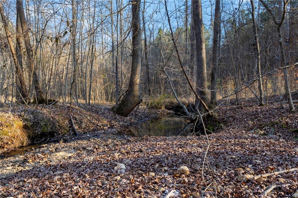 665 Tibbitts Road Dallas, GA 30132 - Photo 37 of 39