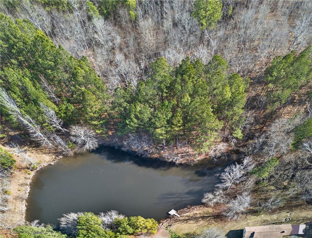 665 Tibbitts Road Dallas, GA 30132 - Photo 4 of 39