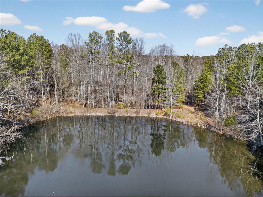 665 Tibbitts Road Dallas, GA 30132 - Photo 6 of 39