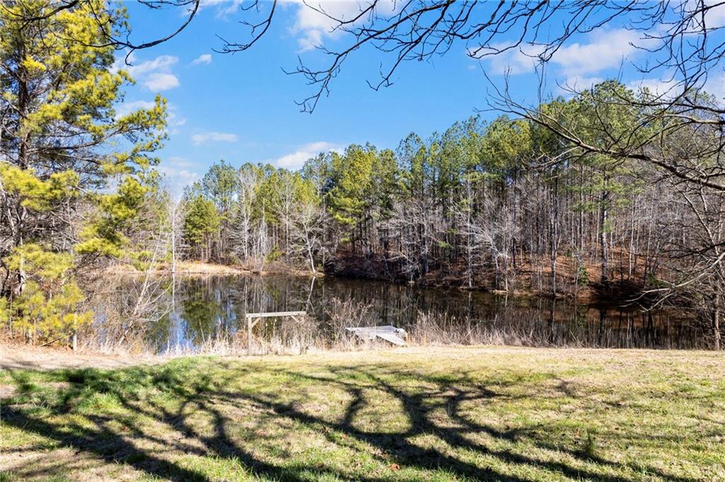 665 Tibbitts Road Dallas, GA 30132 - Photo 7 of 39