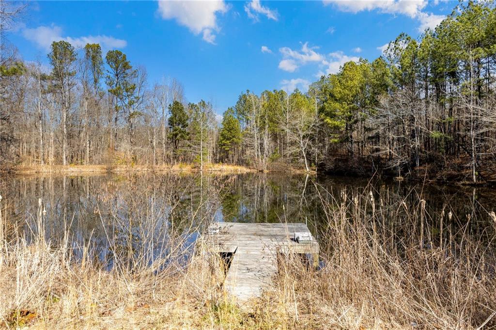 665 Tibbitts Road Dallas, GA 30132 - Photo 8 of 39