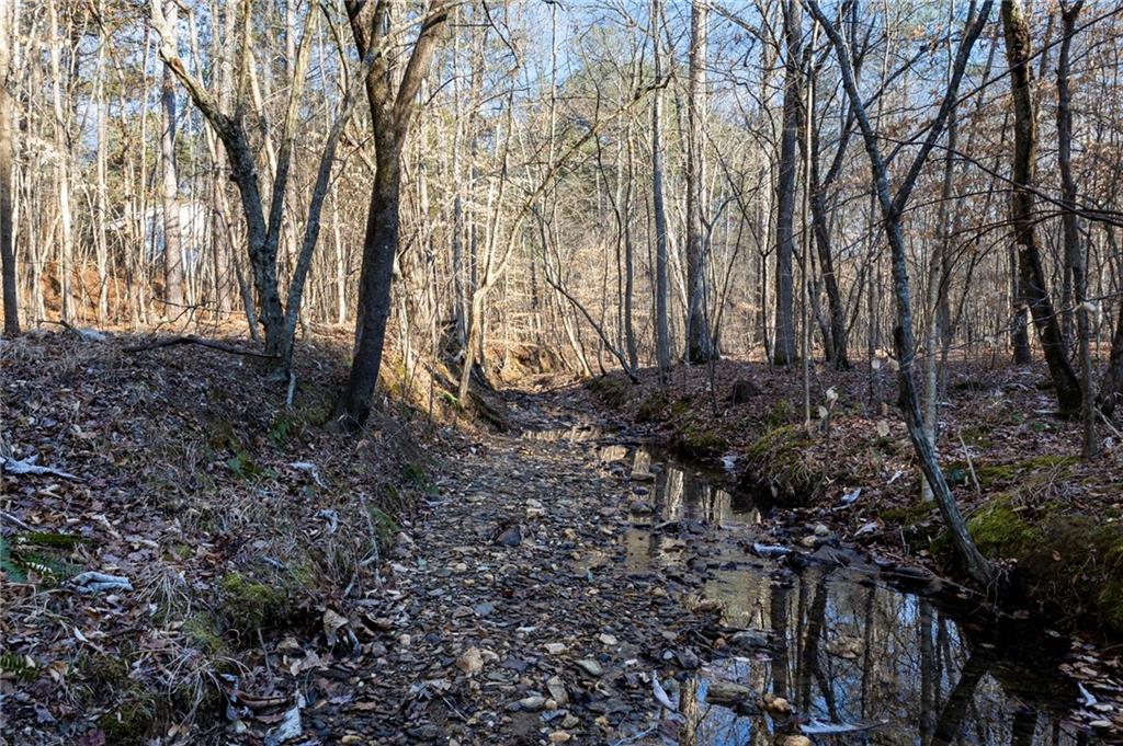 665 Tibbitts Road Dallas, GA 30132 - Photo 9 of 39