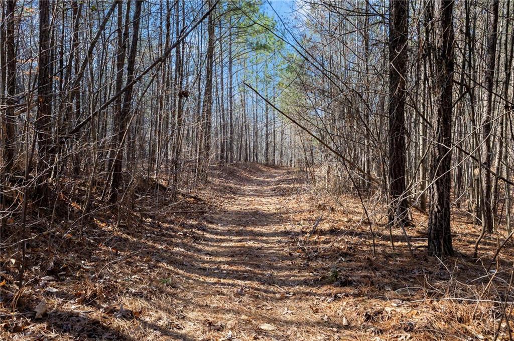 665 Tibbitts Road Dallas, GA 30132 - Photo 10 of 39