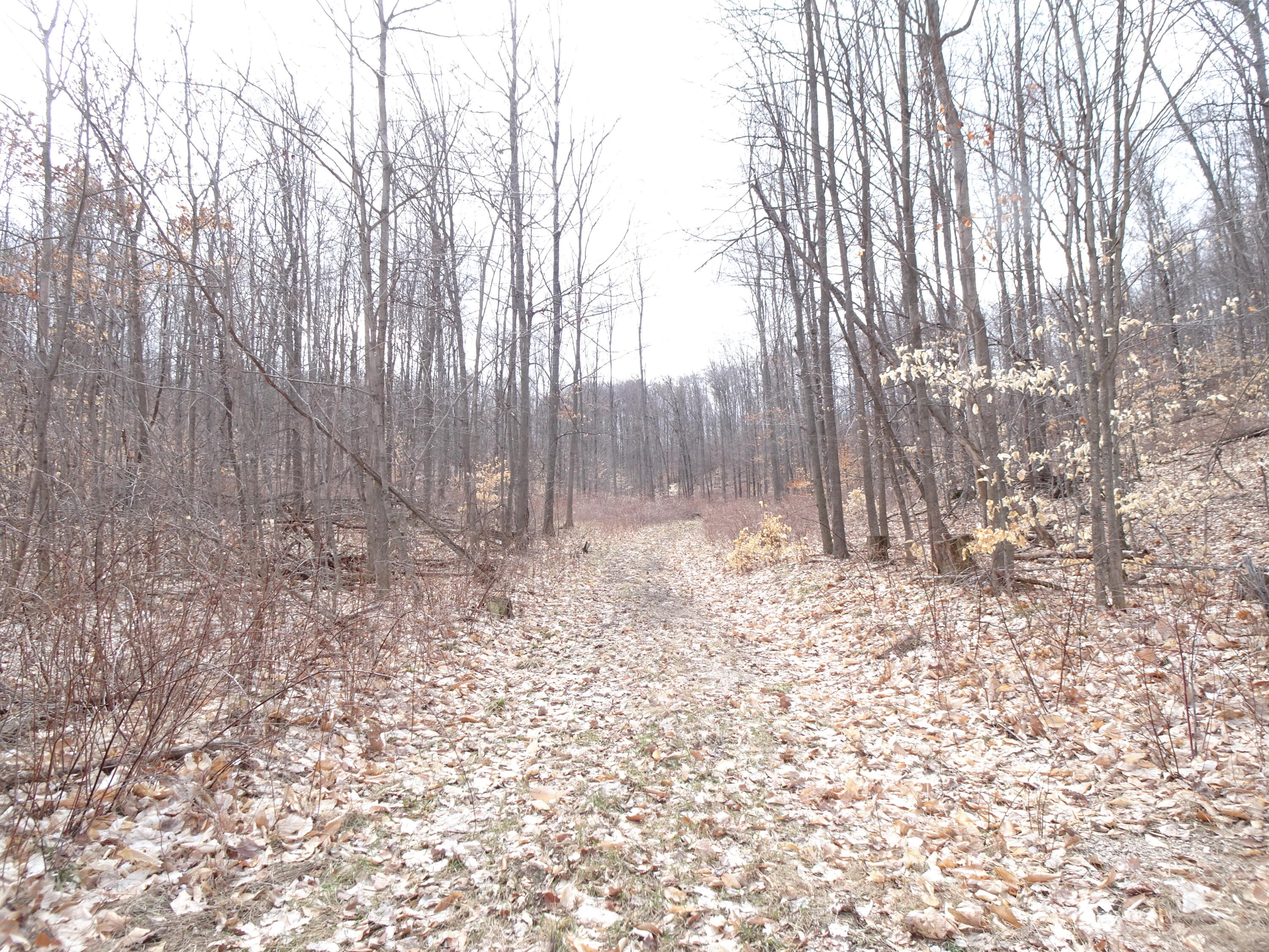 Chief ''e'' Road Bear Lake, MI 49614 - Photo 2 of 13 dd567a9e-6303-4a4f-b728-522cc6d1a22f