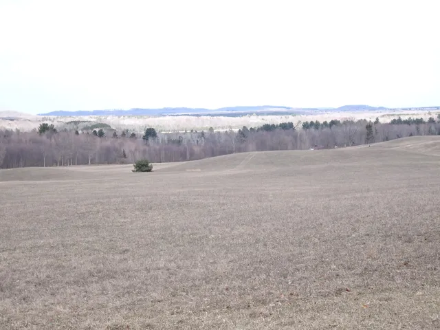 $175,000 | Chief ''e'' Road, Bear Lake, MI 49614