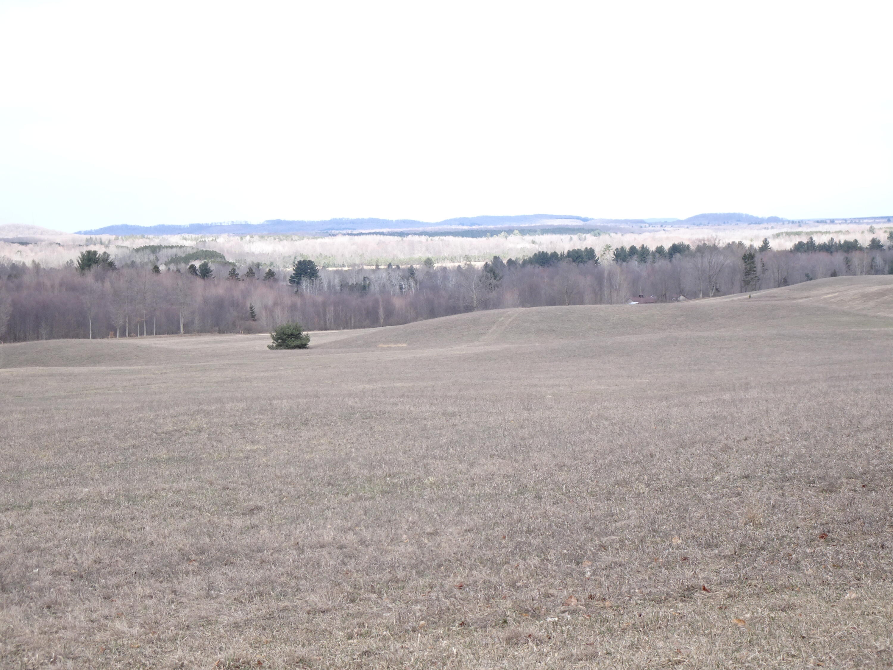 Chief ''e'' Road Bear Lake, MI 49614 - Photo 4 of 13 ac254ba8-166f-4cf8-8d74-54498da6b9b5