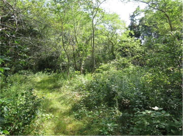 445 Old Chequessett Neck Road Wellfleet, MA 02667 - Photo 3 of 4 Additional Photo