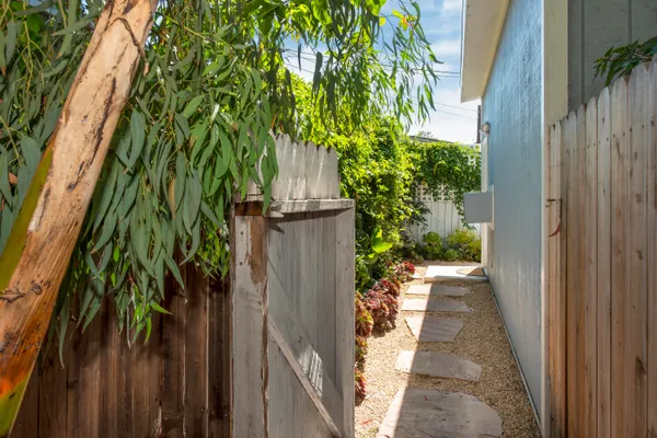 a view of a backyard with plants