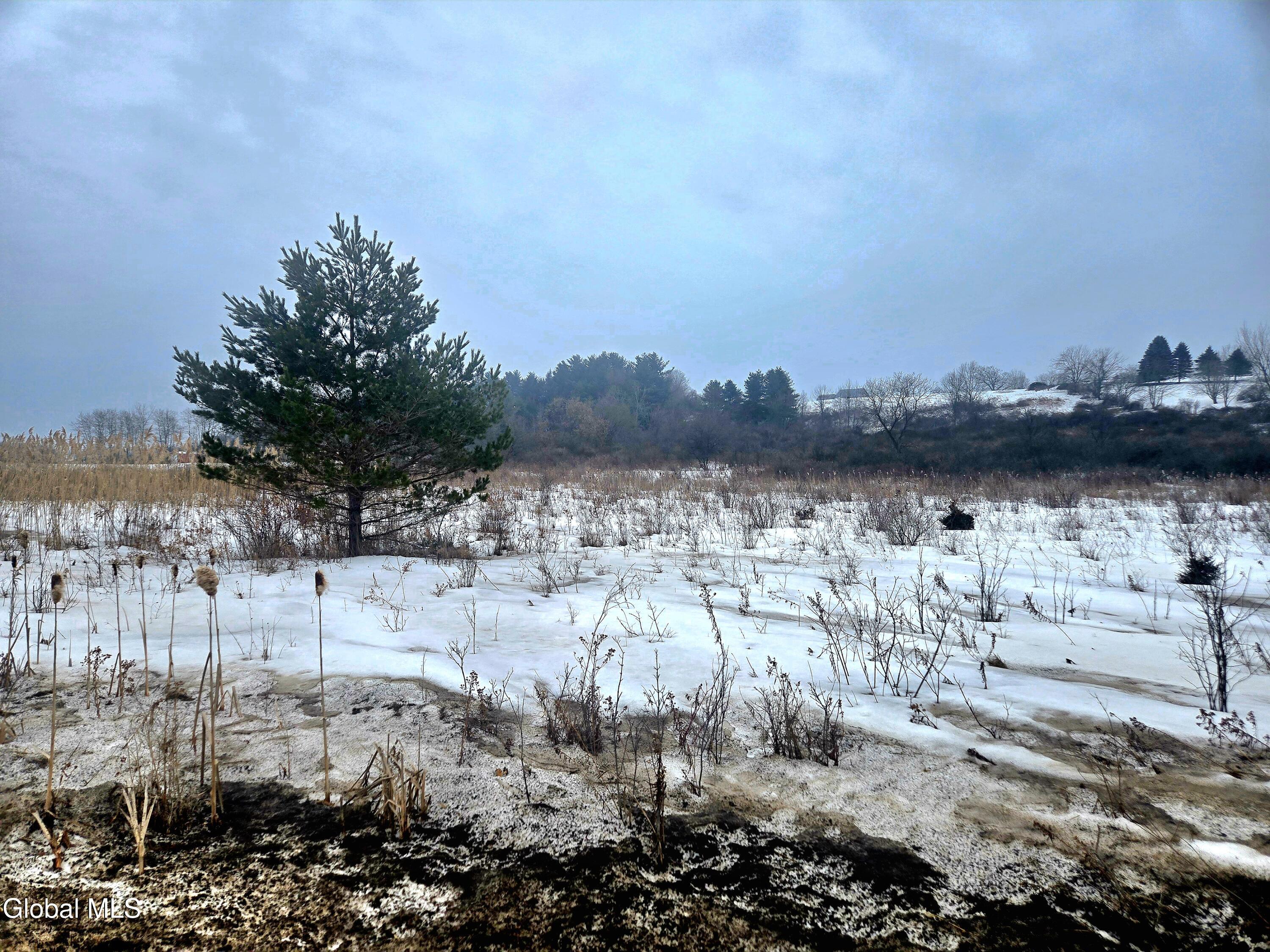 L12-1 Rouse Road Fort Plain, NY 13339 - Photo 5 of 6 20260218_094528