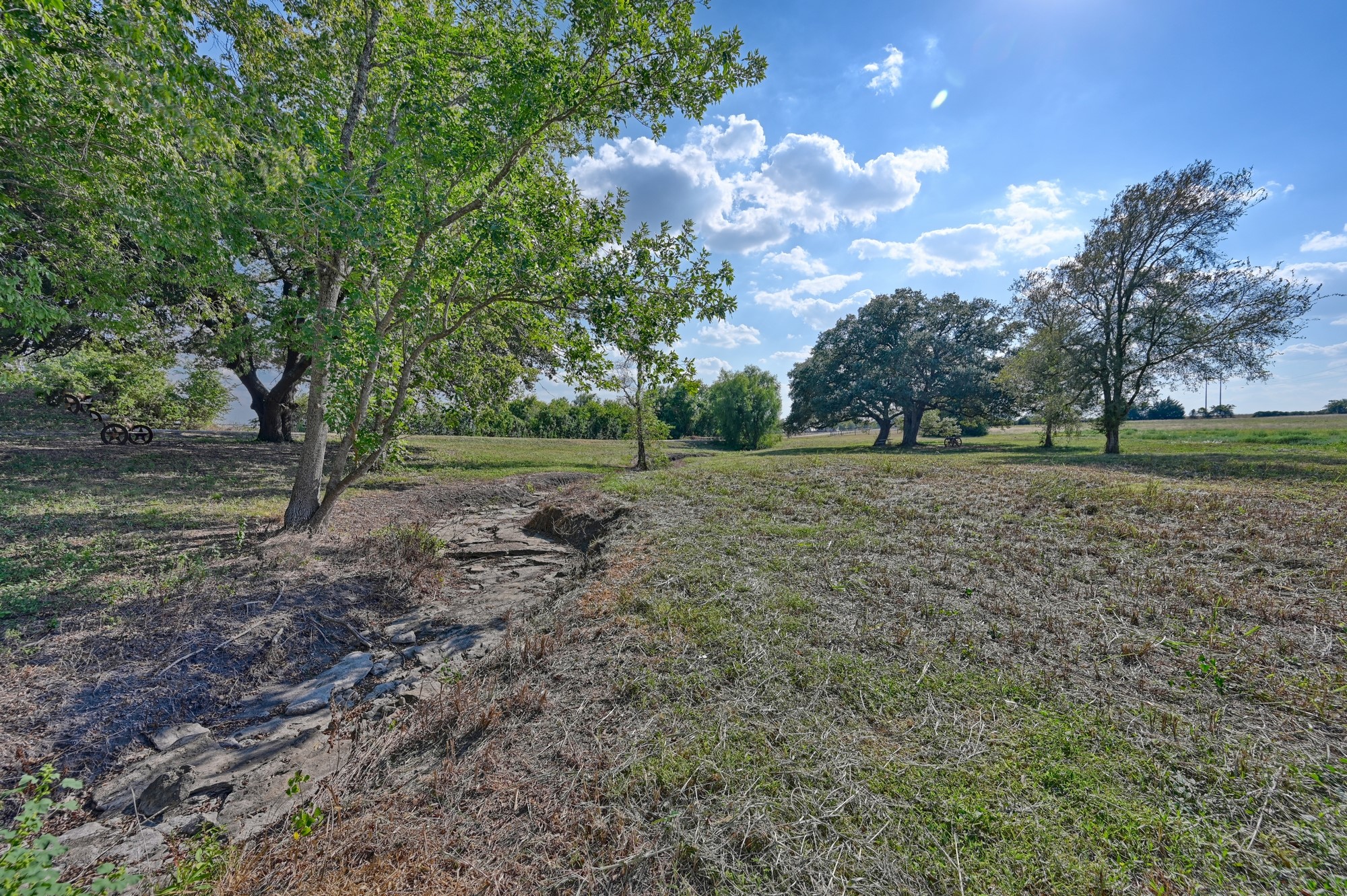 44-acres Ganske Road Burton, TX 77835 - Photo 13 of 42 a view of a big yard with large trees