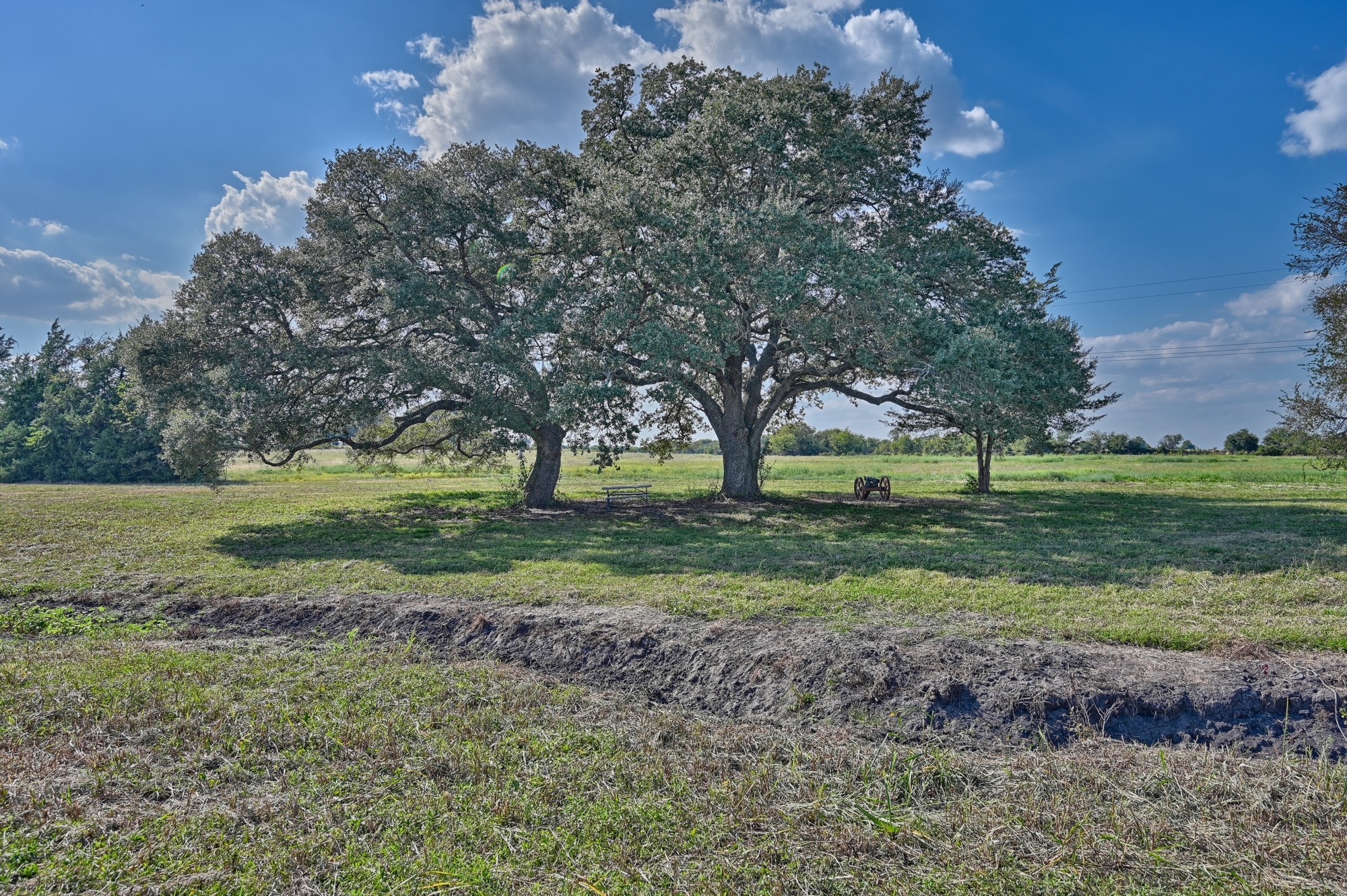 44-acres Ganske Road Burton, TX 77835 - Photo 16 of 42 a view of field with trees