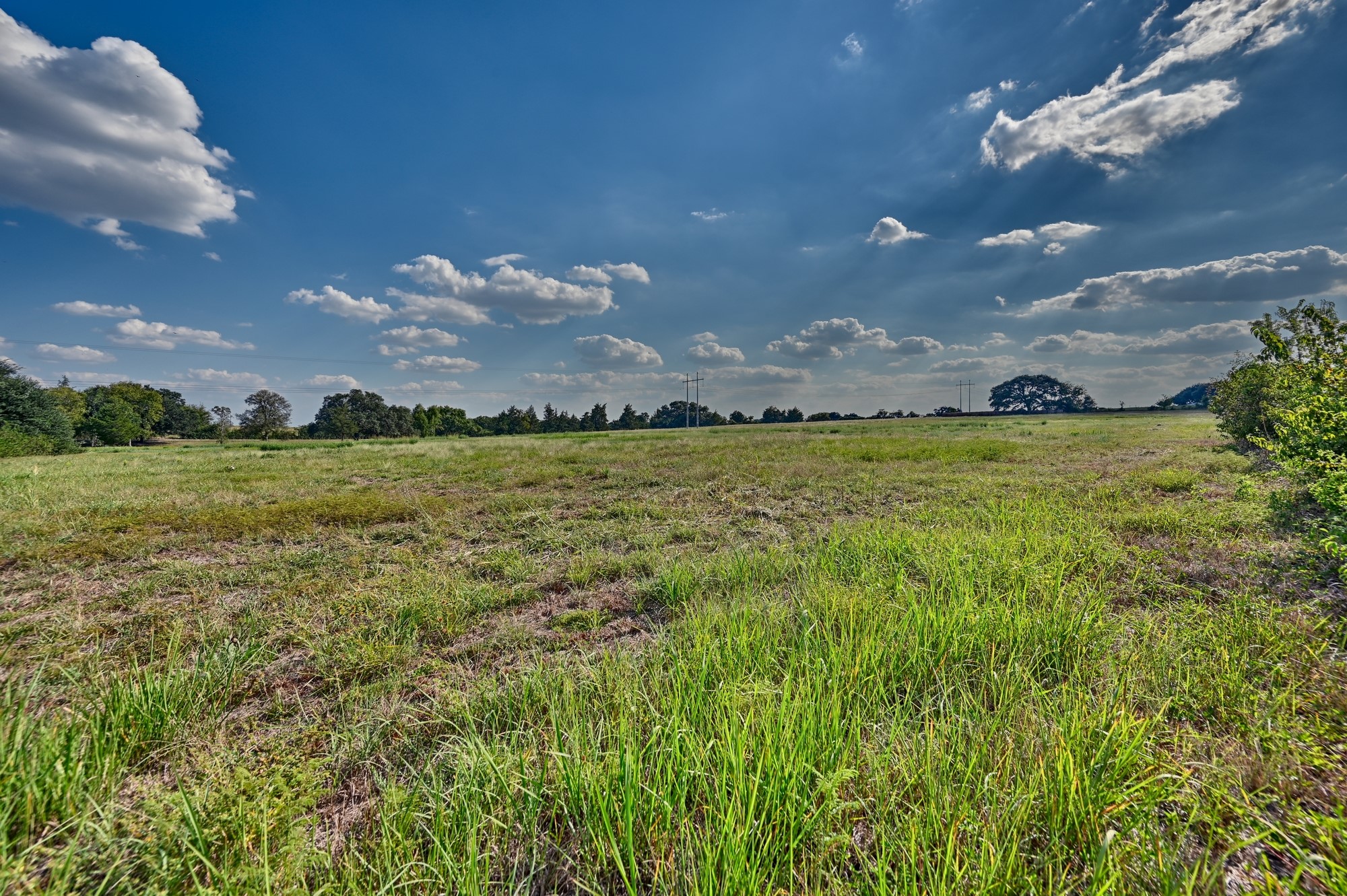 44-acres Ganske Road Burton, TX 77835 - Photo 21 of 42 a view of a big yard with lots of green space and a lake view