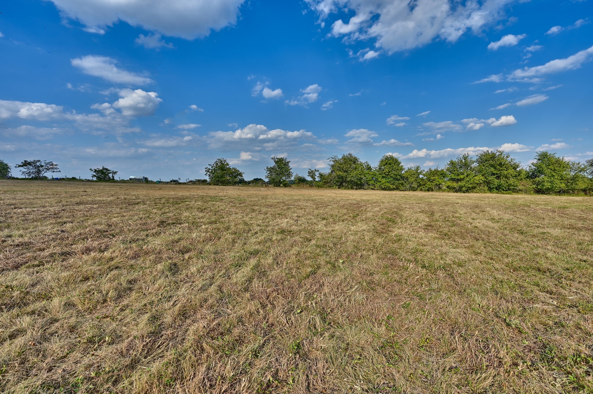 44-acres Ganske Road Burton, TX 77835 - Photo 33 of 42 a view of yard with ocean and mountain in the background