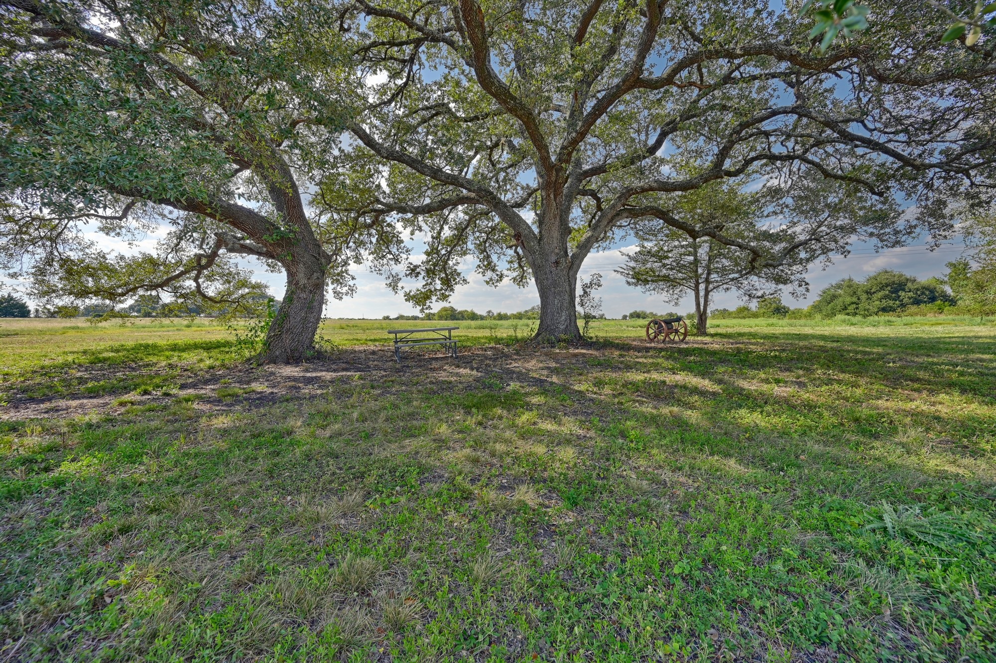 44-acres Ganske Road Burton, TX 77835 - Photo 5 of 42 a view of outdoor space with trees all around