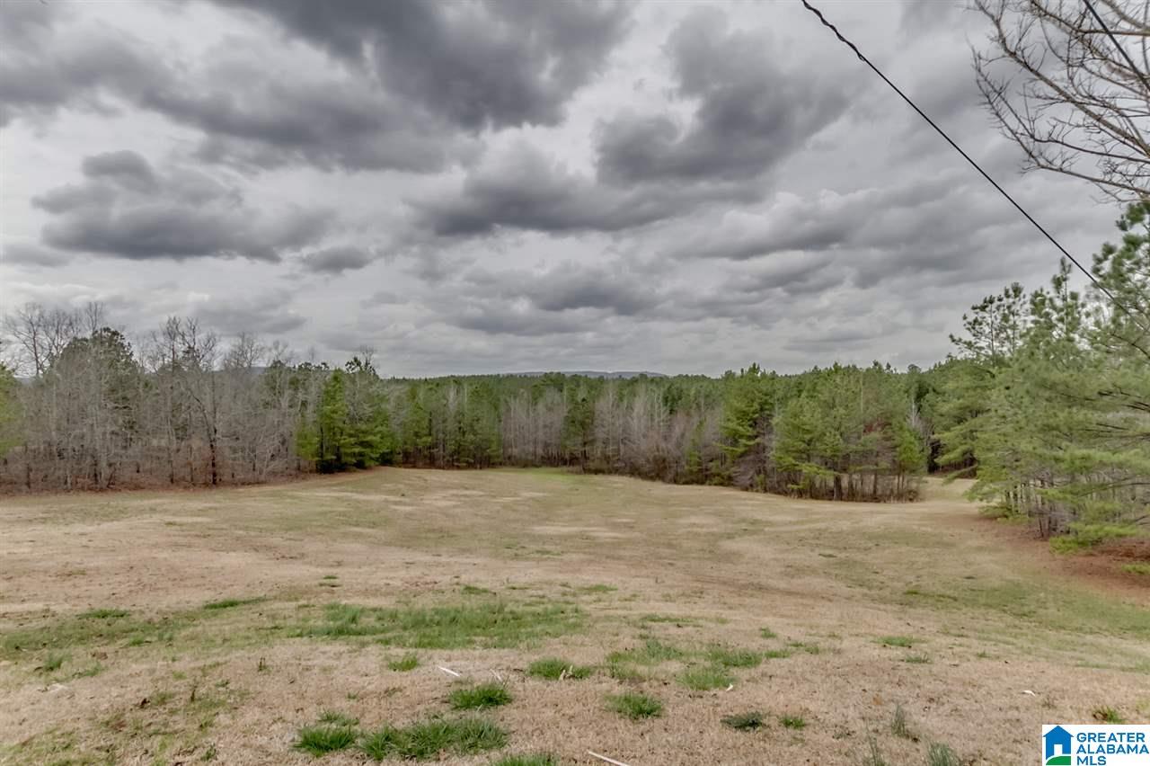 484 Cedar Hill Farm Road Sterrett, AL 35147 - Photo 20 of 50