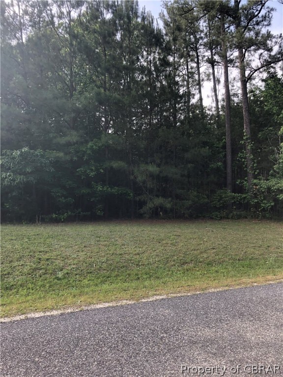 Lot 5 Avis Trail Lancaster, VA 22503 - Photo 1 of 9 a view of a yard