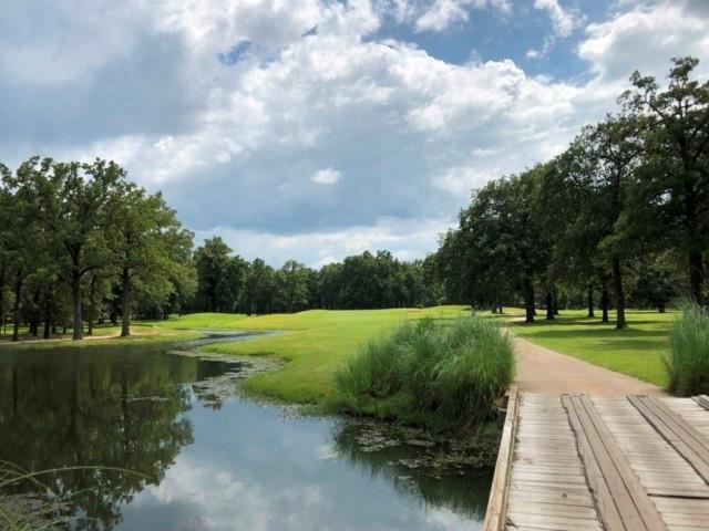 227 Colonial Drive Mabank, TX 75156 - Photo 17 of 23 a view of a park with large trees