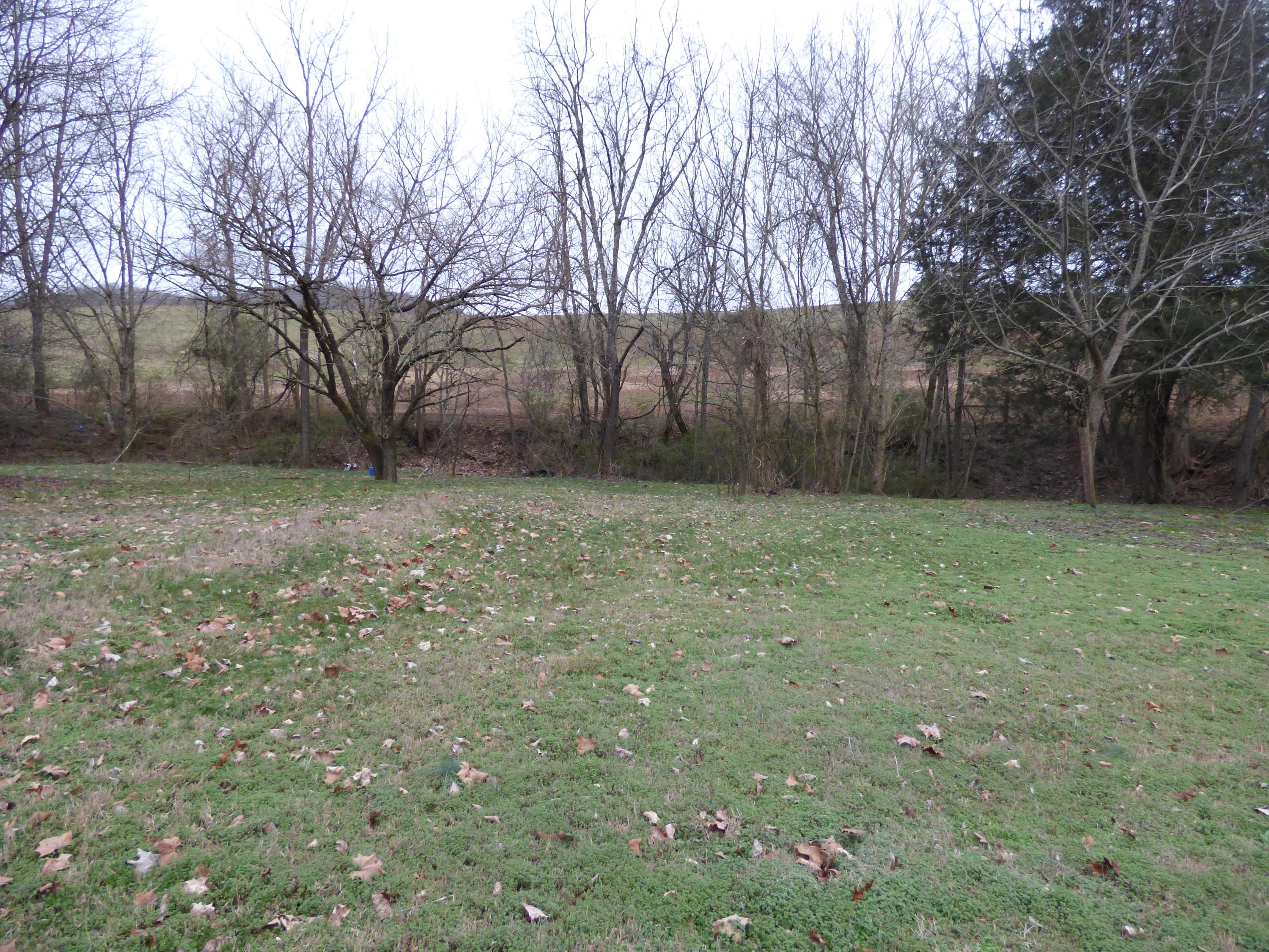1837 Fielden Store Road New Market, TN 37820 - Photo 16 of 26 P1180082