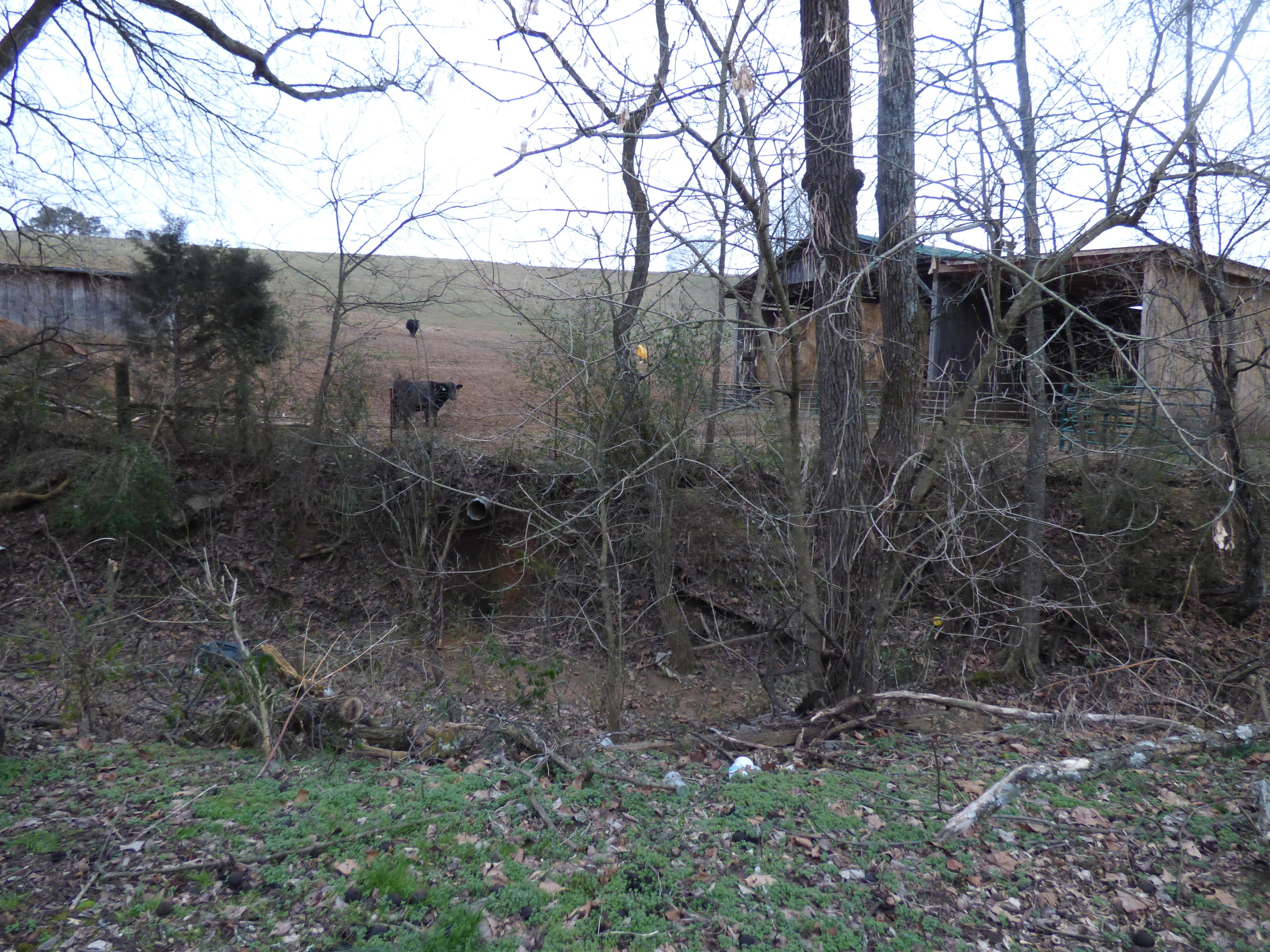 1837 Fielden Store Road New Market, TN 37820 - Photo 18 of 26 P1180078