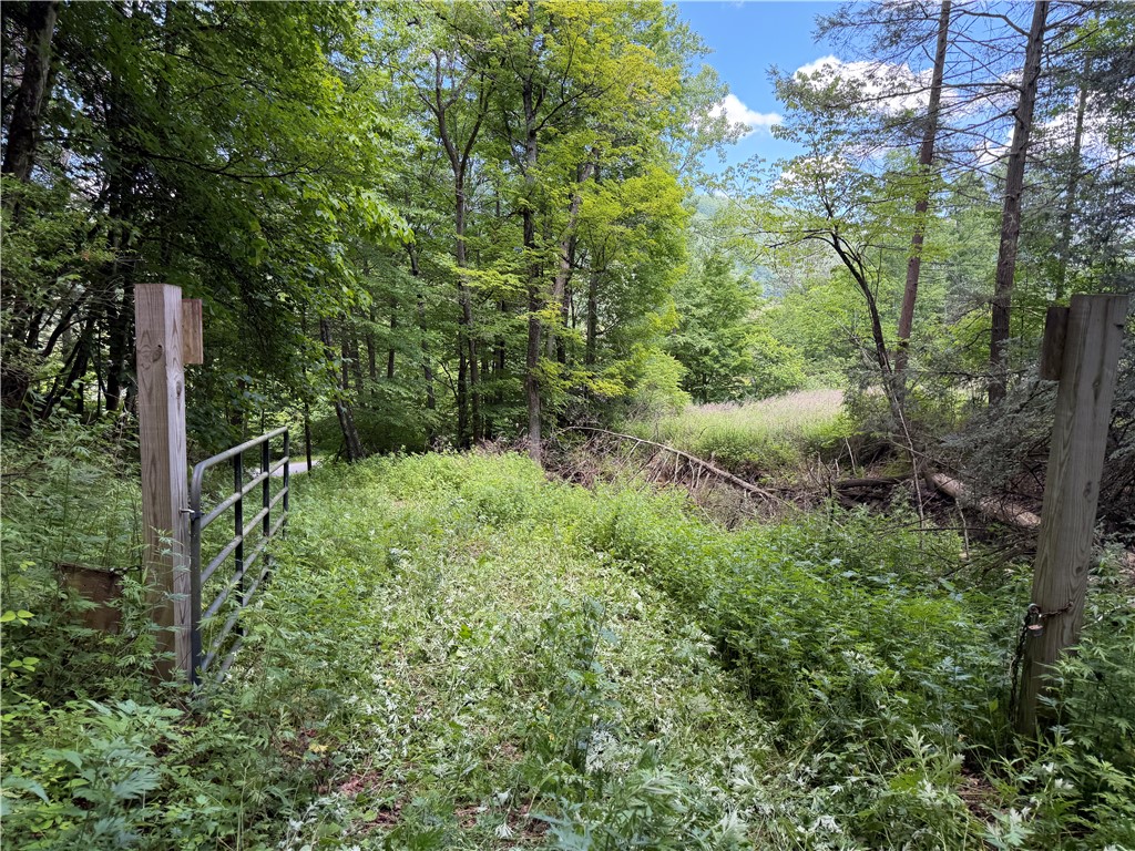 Vl Catatunk Road, Unit R Canisteo, NY 14823 - Photo 11 of 50