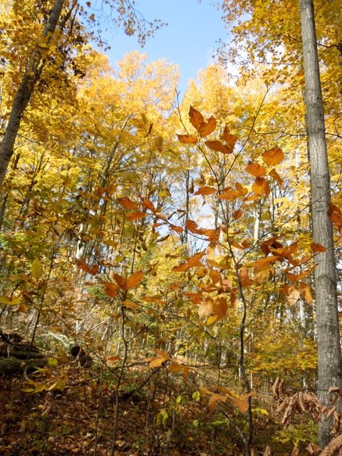 10282 Cedar Run Road Traverse City, MI 49684 - Photo 28 of 31 1805064-27.JPG