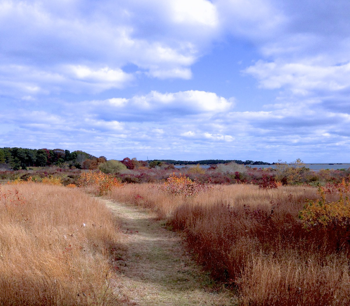 49 Waterview Road Oak Bluffs, MA 02557 - Photo 4 of 7 Gallery Image 4