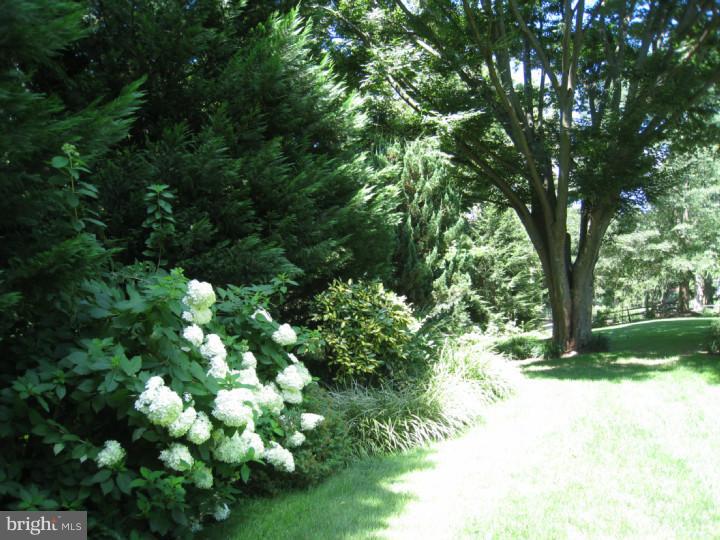 15 South Valley Forge Road Wayne, PA 19087 - Photo 25 of 25 Gallery Image 25