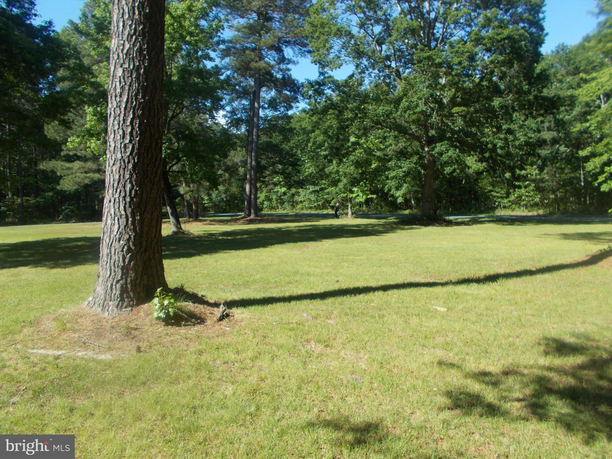 1723 Brannock Neck Road Cambridge, MD 21613 - Photo 50 of 65 Gallery Image 50