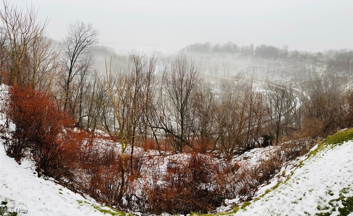 18875 Riversouth Terrace, Unit 35 Cleveland, OH 44126 - Photo 34 of 37 Snowy landscape